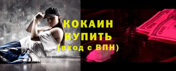 молекула духа Осинники