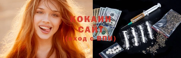 молекула духа Осинники