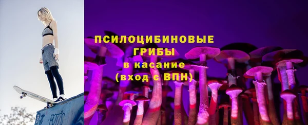 молекула духа Осинники