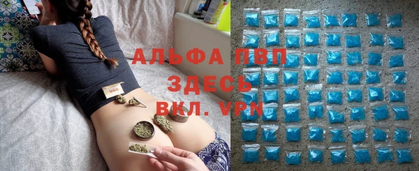 молекула духа Осинники